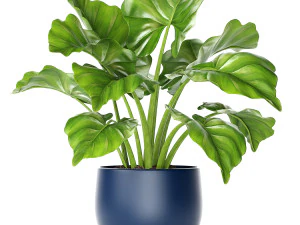 collection of plants 55 pieces 3D Model