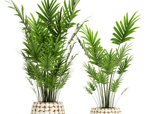 collection of plants 55 pieces 3D Modell