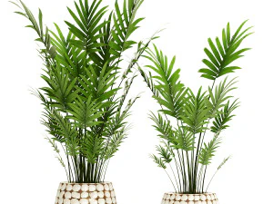 collection of plants 55 pieces 3D Model