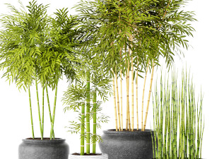 collection of plants 55 pieces 3D Modell