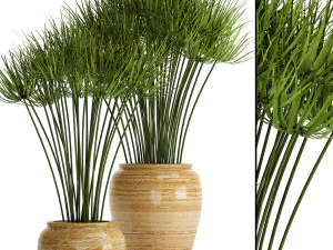 collection of plants 55 pieces 3D Model