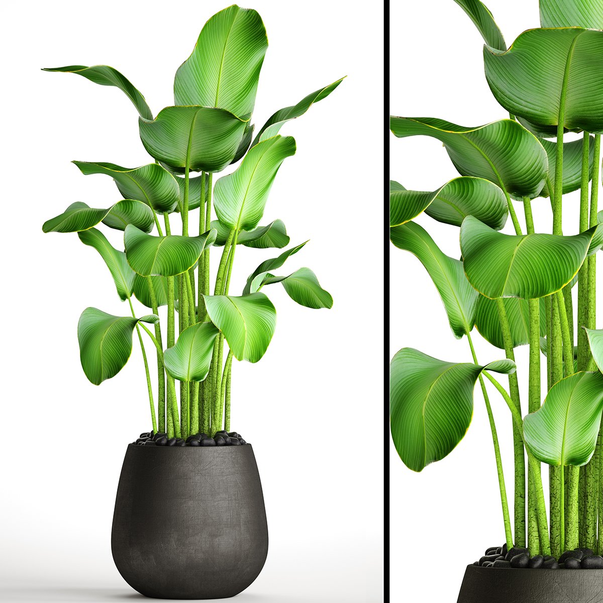 3ds max plants models free download