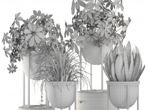 collection of plants 55 pieces 3D Modell