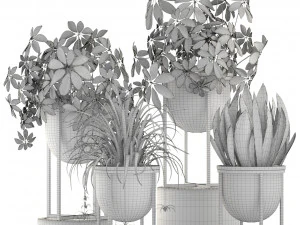 collection of plants 55 pieces 3D Model