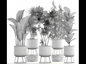 collection of plants 55 pieces 3D Modell
