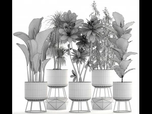 collection of plants 55 pieces 3D Model