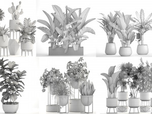 collection of plants 55 pieces 3D Modell