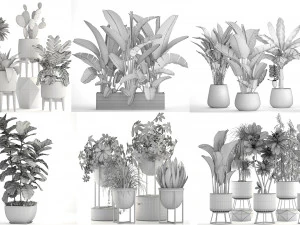 collection of plants 55 pieces 3D Model