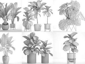 collection of plants 55 pieces 3D Model