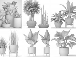 collection of plants 55 pieces 3D Modell