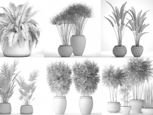 collection of plants 55 pieces 3D Modell