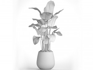 collection of plants 55 pieces 3D Modell