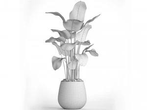 collection of plants 55 pieces 3D Model