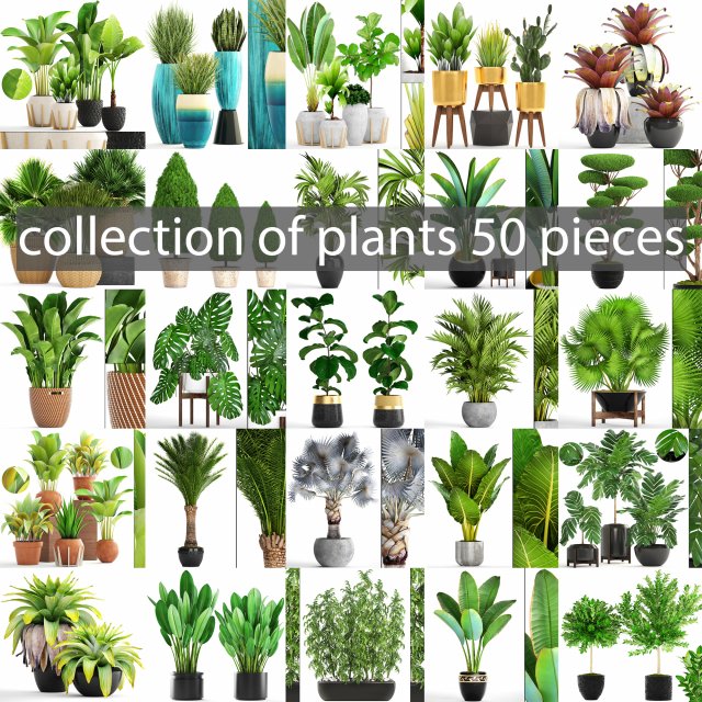 collection of plants 50 pieces 3D Model .c4d .max .obj .3ds .fbx .stl .blend 
