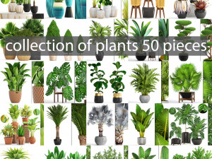 collection of plants 50 pieces Model 3D
