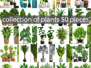coleção de plantas 50 peças Modelo 3D