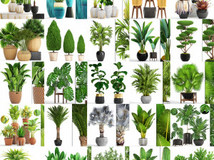 collection of plants 50 pieces 3D Model