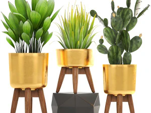 collection of plants 50 pieces 3D Model