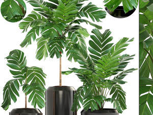 collection of plants 50 pieces 3D Model