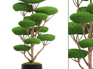 collection of plants 50 pieces 3D Model