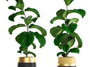 collection of plants 50 pieces 3D Model