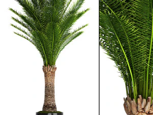 collection of plants 50 pieces 3D Model