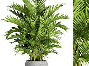 collection of plants 50 pieces 3D Model