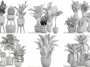collection of plants 50 pieces 3D Model