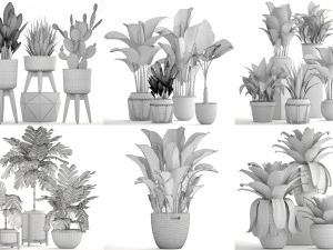 collection of plants 50 pieces 3D Model