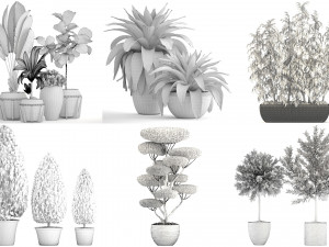 collection of plants 50 pieces 3D Model