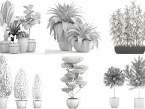 collection of plants 50 pieces 3D Model