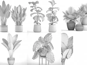 collection of plants 50 pieces 3D Model