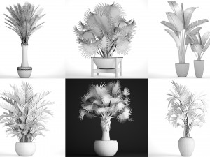 collection of plants 50 pieces 3D Model