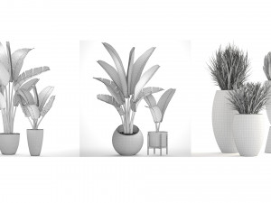 collection of plants 50 pieces 3D Model