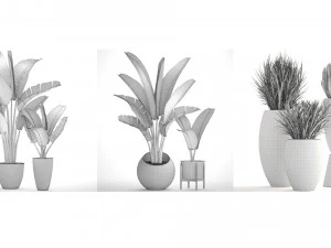 collection of plants 50 pieces 3D Model