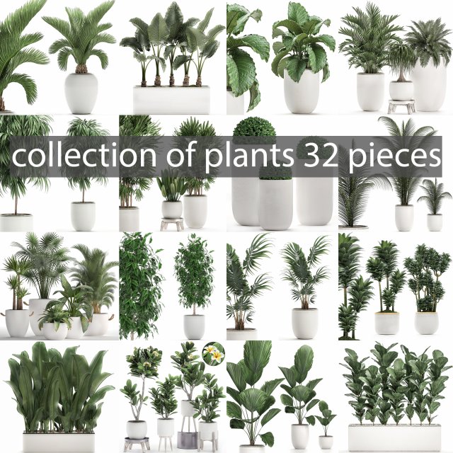collection of plants 32 pieces 3D 模型 .c4d .max .obj .3ds .fbx .stl .blend 