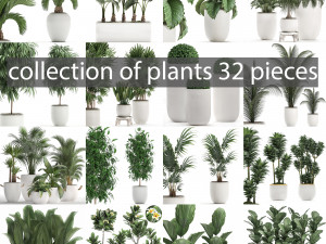 collection of plants 32 pieces 3D Model