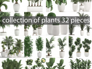 collection of plants 32 pieces 3Dモデル