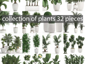 cole&ccedil;&atilde;o de plantas 32 pe&ccedil;as Modelo 3D