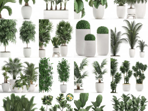 collection of plants 32 pieces 3D 模型