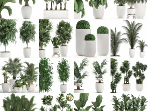 collection of plants 32 pieces 3D Model