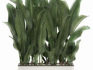 collection of plants 32 pieces 3D 模型
