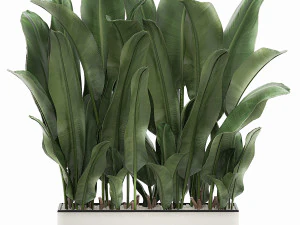 collection of plants 32 pieces 3D Model