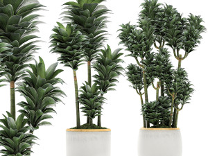 collection of plants 32 pieces 3D 模型
