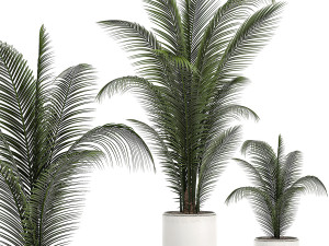 collection of plants 32 pieces 3D 模型