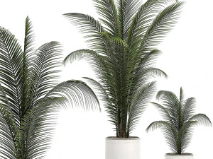 collection of plants 32 pieces 3D Model