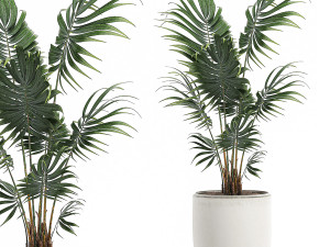 collection of plants 32 pieces 3D 模型