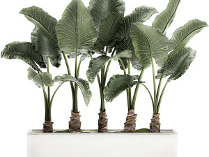 collection of plants 32 pieces 3D Model