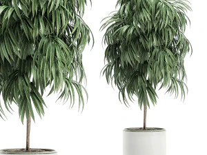 collection of plants 32 pieces 3D Model