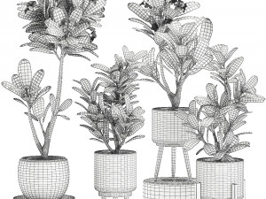 collection of plants 32 pieces 3D 模型